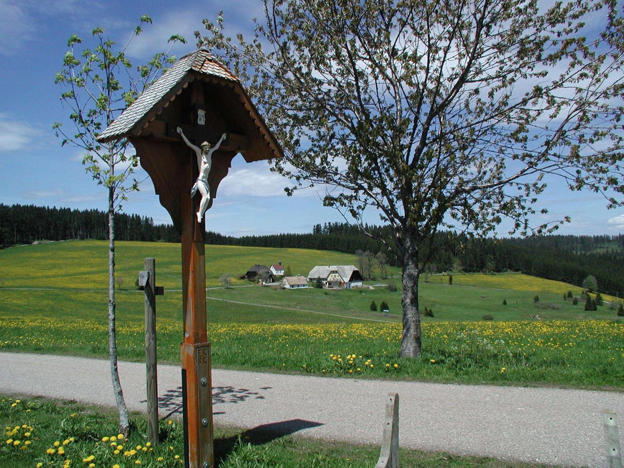 Cafe-Pension Feldbergblick Титизее-Нойштадт Экстерьер фото